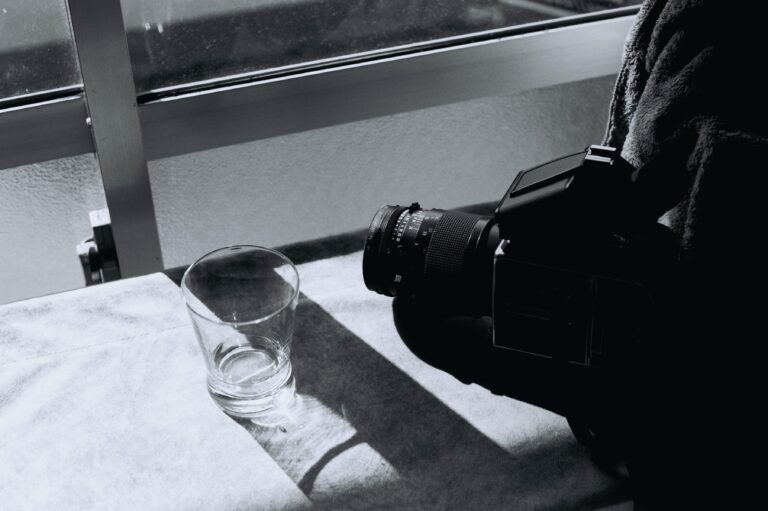 【フィルム作例多数】Summicron L 50mm F2 / Leicaレンズギャラリー
